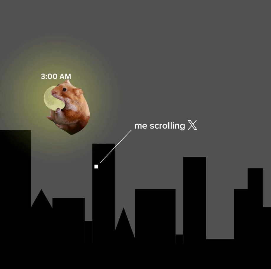 Hamster 3AM meme