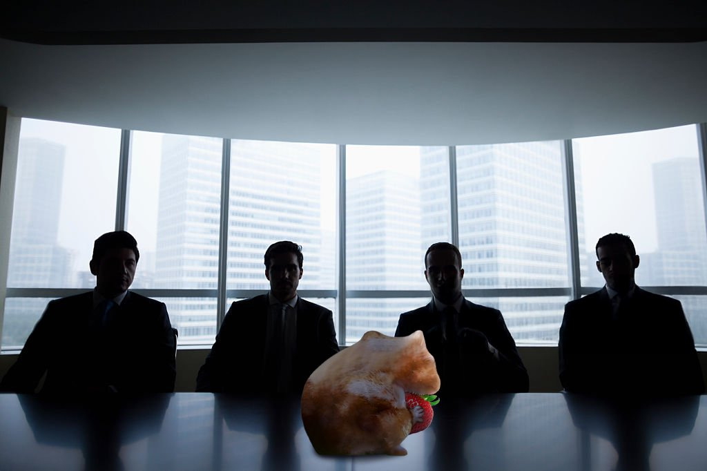 Hamster in business meeting