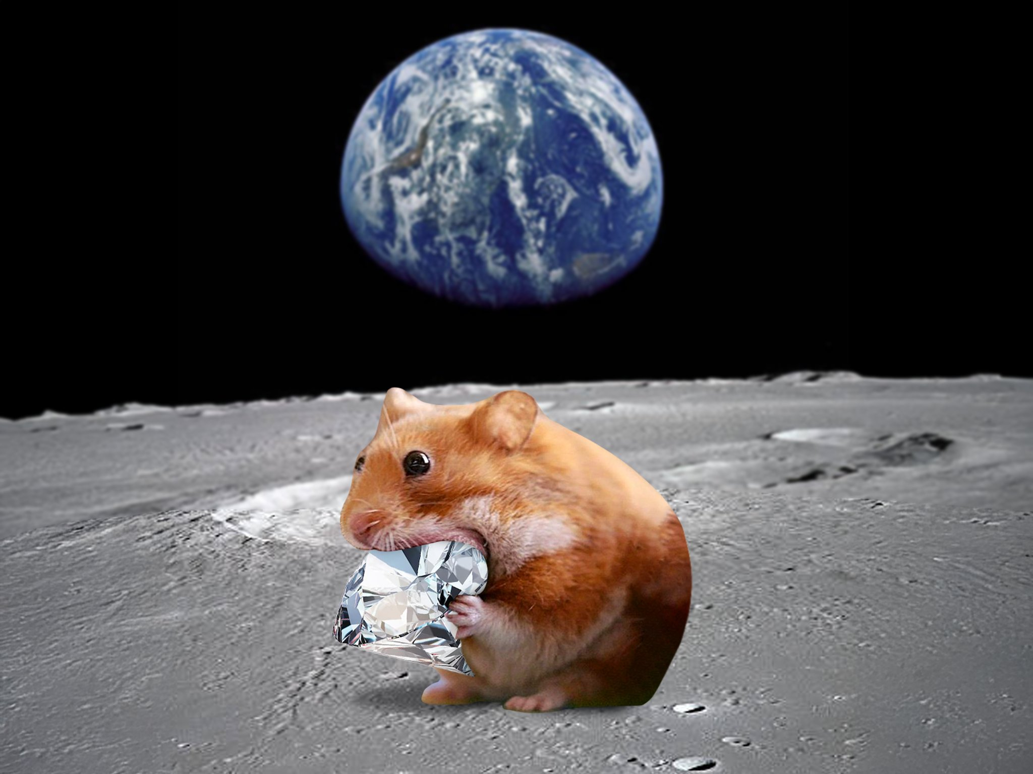 Hamster on moon with diamond